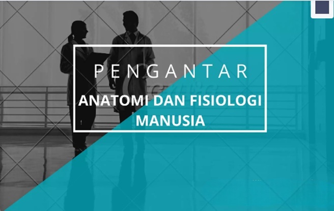 Anatomi dan Fisiologi Tubuh (DWU)Hybrid