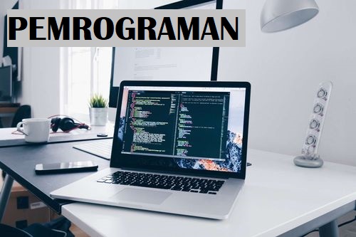 Pemrograman - I (DSW)